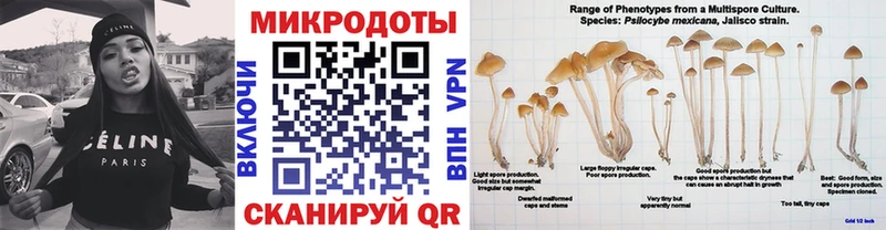 Галлюциногенные грибы мицелий  Купить  Новопавловск 